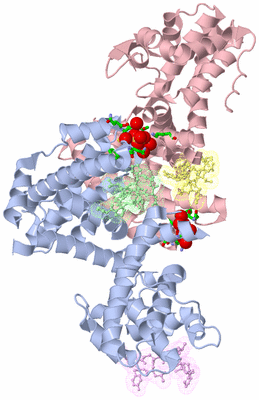 Image Asym./Biol. Unit - sites