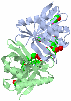 Image Asym./Biol. Unit - sites