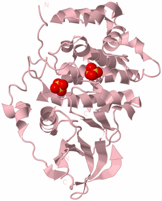 Image Biological Unit 3