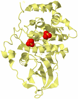 Image Biological Unit 4