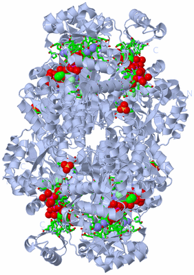 Image Biol. Unit 1 - sites