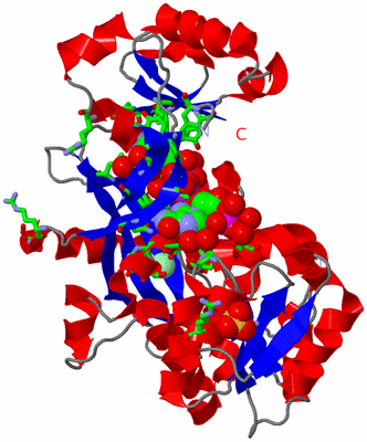 Image Asym. Unit - sites