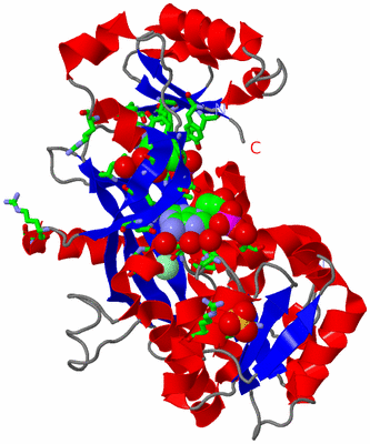 Image Asym. Unit - sites