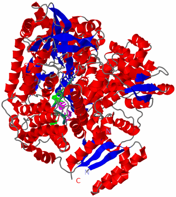 Image Asym./Biol. Unit