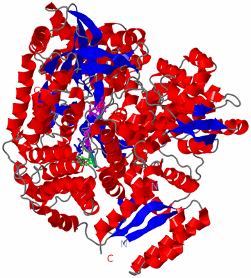 Image Asym./Biol. Unit