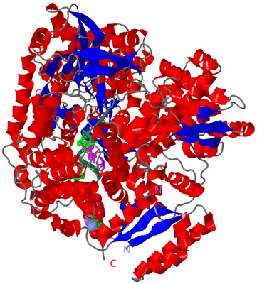 Image Asym./Biol. Unit