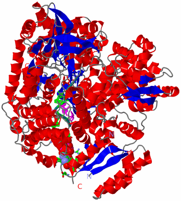 Image Asym./Biol. Unit - sites