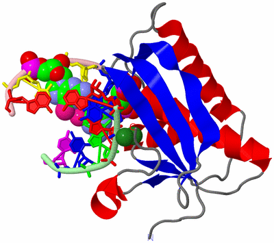 Image Asym./Biol. Unit