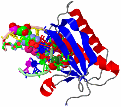 Image Asym./Biol. Unit - sites