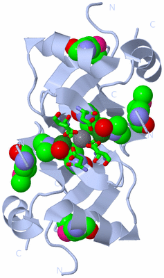 Image Biol. Unit 1 - sites