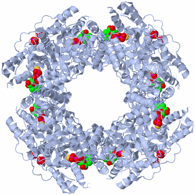 Image Biological Unit 1