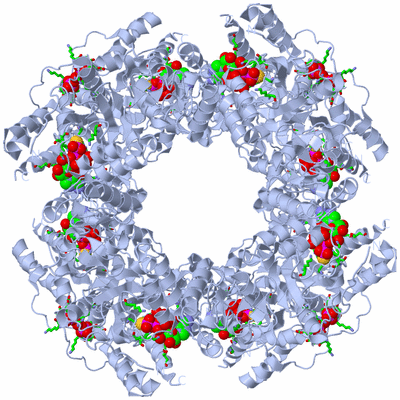 Image Biol. Unit 1 - sites