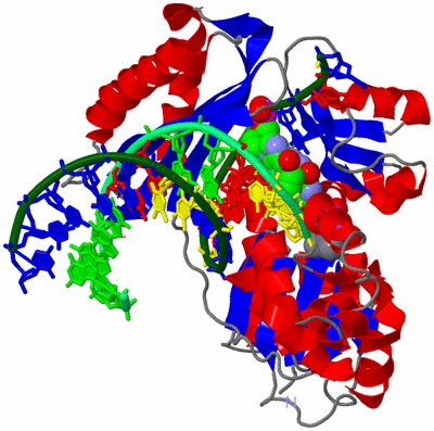 Image Asym./Biol. Unit