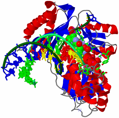 Image Asym./Biol. Unit - sites