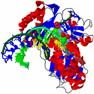 Image Asym./Biol. Unit