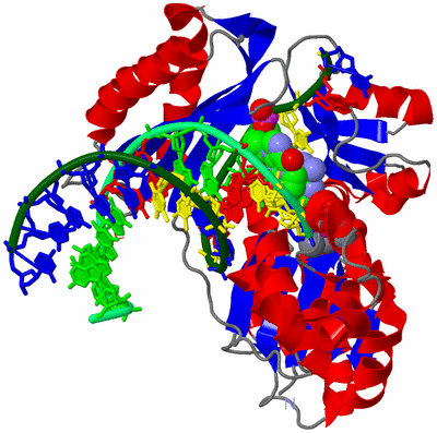 Image Asym./Biol. Unit