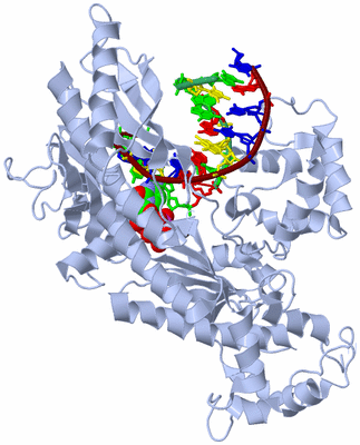 Image Biological Unit 1