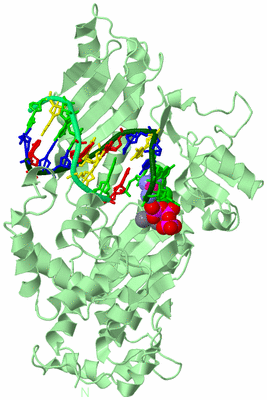 Image Biological Unit 2