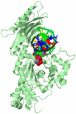 Image Biological Unit 2