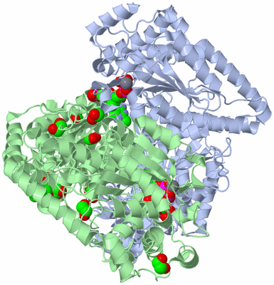 Image Asym./Biol. Unit