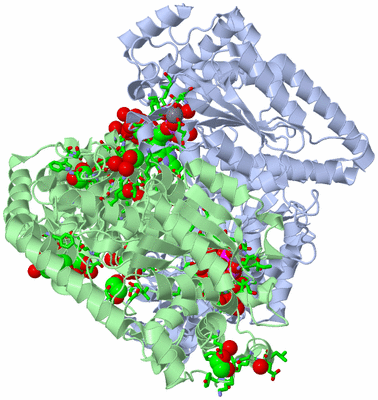 Image Asym./Biol. Unit - sites