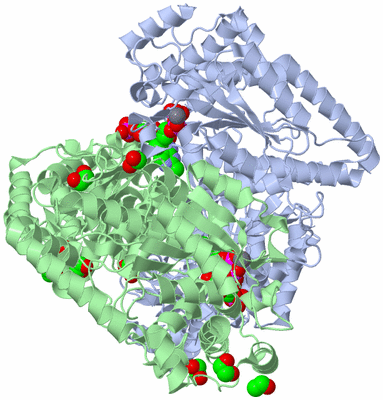 Image Asym./Biol. Unit