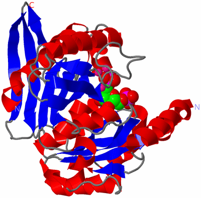 Image Asym./Biol. Unit