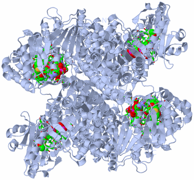 Image Biol. Unit 1 - sites