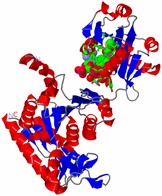 Image Asym. Unit - sites