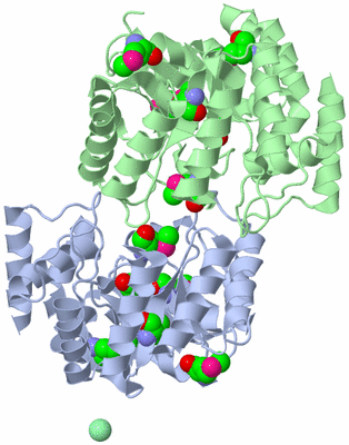 Image Asym./Biol. Unit