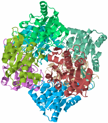 Image Biological Unit 1