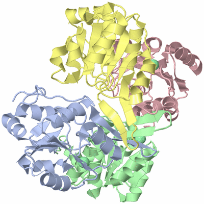 Image Biological Unit 3