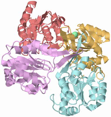 Image Biological Unit 4