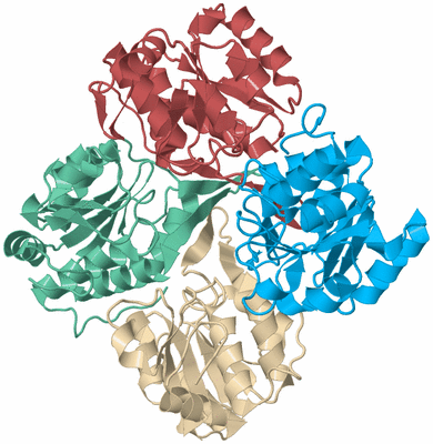 Image Biological Unit 5