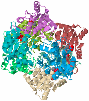 Image Biological Unit 1