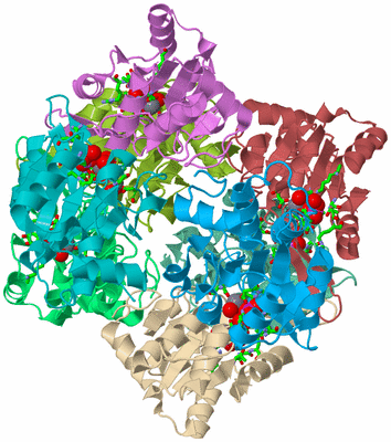 Image Biol. Unit 1 - sites