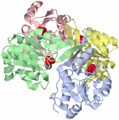 Image Biological Unit 3