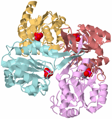 Image Biological Unit 5