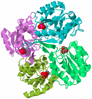 Image Biological Unit 6