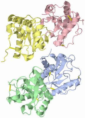 Image Asym./Biol. Unit