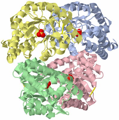 Image Asym./Biol. Unit