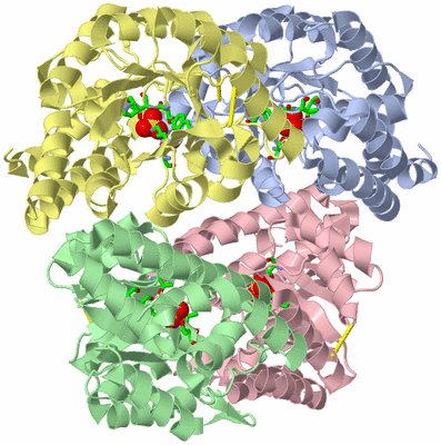 Image Asym./Biol. Unit - sites