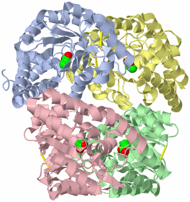 Image Asym./Biol. Unit