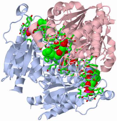 Image Biol. Unit 1 - sites