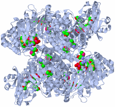 Image Biological Unit 1