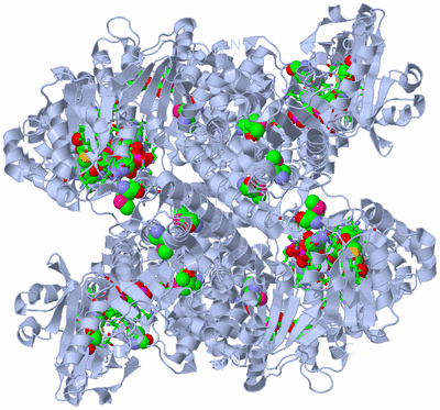 Image Biol. Unit 1 - sites