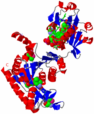 Image Asym. Unit - sites