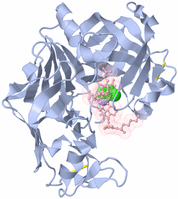 Image Biological Unit 1