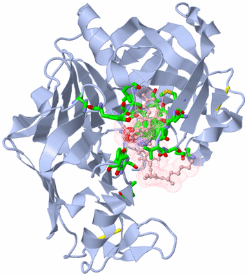 Image Biol. Unit 1 - sites