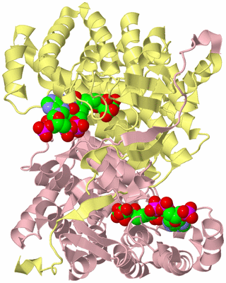 Image Biological Unit 2